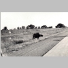 Group05-0000091A.jpg